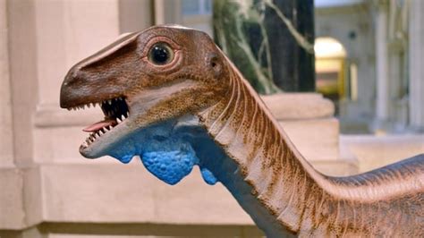 The return of Dinosaur Takeover! | Bristol Museums