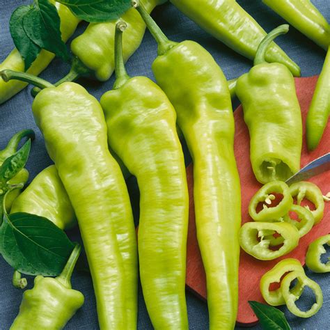 Organic Hungarian Hot Wax Pepper Seeds 0 25 Oz 1250 Seeds Non GMO