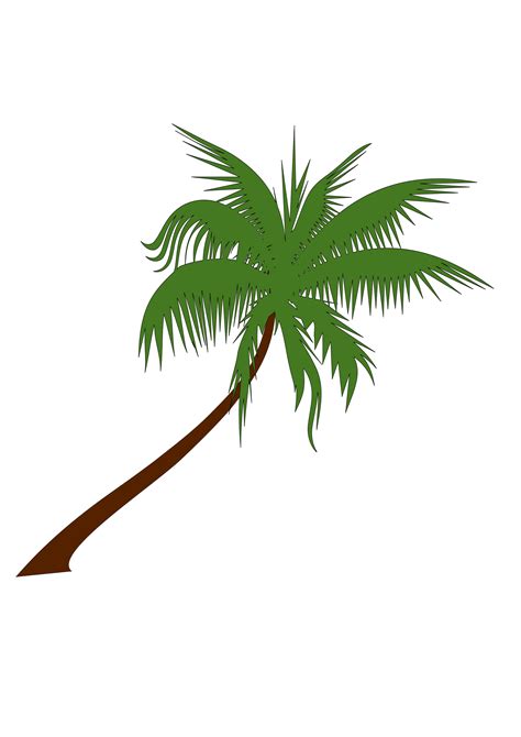Coconut Tree Clip Art
