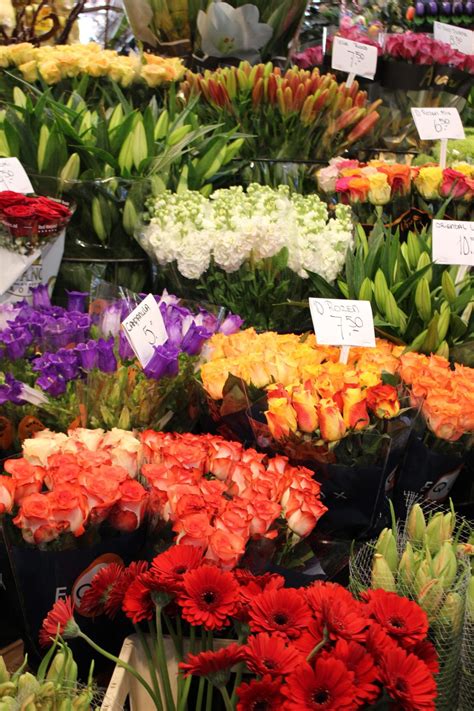 Bloemenmarkt: Amsterdam's Floating Flower Market - Miss Adventures Abroad