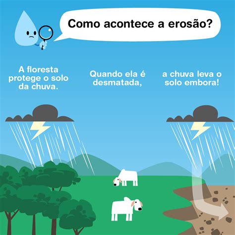 BIBOCA AMBIENTAL TIPOS DE EROSÃO