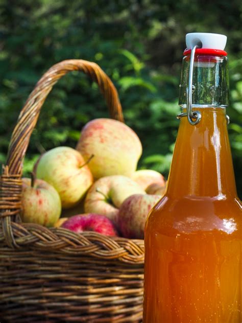 Comment Faire Du Vinaigre De Cidre Pomme Maison Ventana Blog