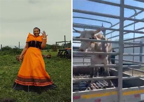 KZN Prison Sex Video Wardens Fired Inmate Given Harsh Punishment