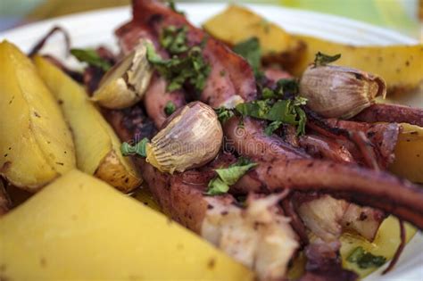 Polvo Torrado Batatas Alho E Azeite Gastronomia Portuguesa Imagem