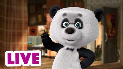 🔴 LIVE STREAM 🎬 Masha and the Bear 🎪 One panda day 🐼 - YouTube