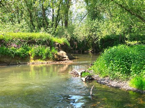 Wandelen Zuid Limburg Mooiste Wandelingen Vanuit Landal Hoog Vaals