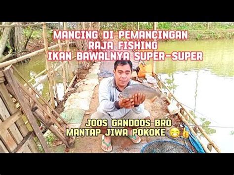 Mancing Di Pemancingan Raja Fishing Ikannya Besar Besar YouTube