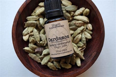 Cardamom Essential Oil Cardmom Oil Ayurveda Herbal Oil Etsy