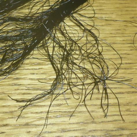 Mini Bug Legs Black Troutlore Fly Tying Supplies