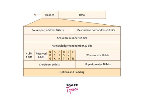 Transmission Control Protocol Tcp Scaler Topics