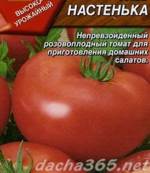Томат Настенька: характеристика и описание сорта, фото, отзывы, урожайность