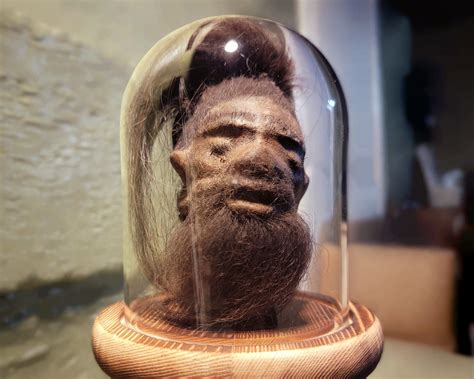 Shrunken Heads