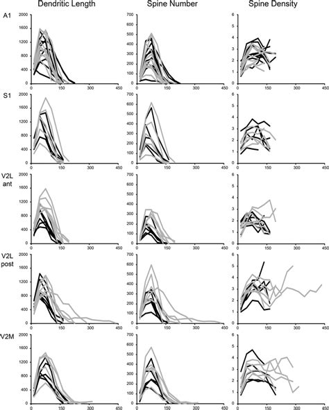 Sholl Analysis Of Basal Dendrites The Dendritic Length Left Row