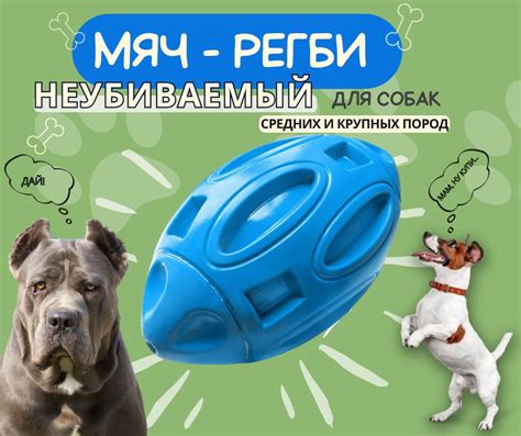 Прочная игрушка для собак , мяч регби пищалка для собак купить на OZON ...