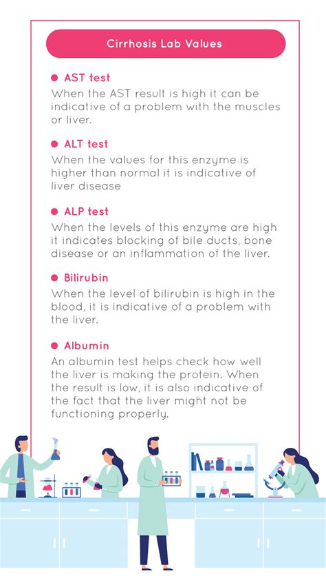 Lab Values Ast Alt High Low And Normal Results Symptoms And Causes