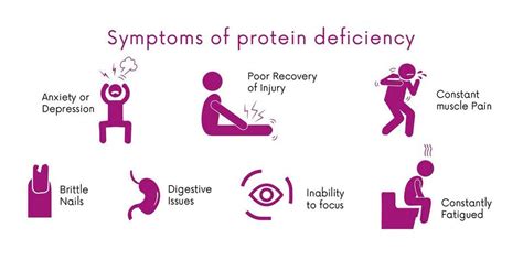 Protein Deficiency Ep Functional Health And Wellness Clinic