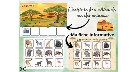 Association Des Animaux Selon Le Milieu De Vie