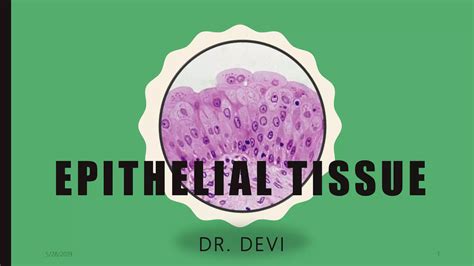 Histology Epithelial Tissue Ppt