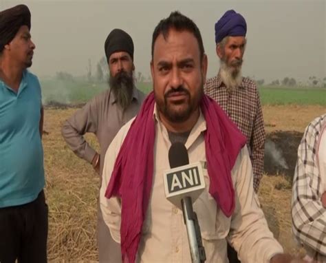 Punjab Farmers Continue To Burn Stubble Say Govt Has Not Provided Compensation Or Equipment To