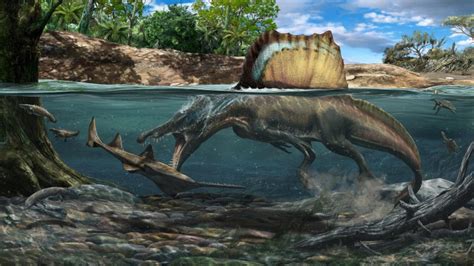 The First Truly Semiaquatic Dinosaur Spinosaurus Aegyptiacus