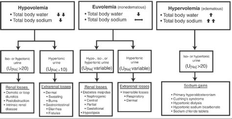 2 Hyponatremia Or Hypernatremia Manual Of Nephrology Diagnosis And