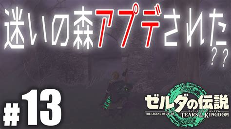 迷いの森アプデされた？13【ゼルダの伝説 ティアーズオブザキングダム】 Youtube