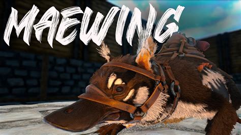 🐾 Como Tamear Un Maewing En Ark 2024 Youtube