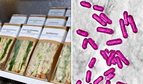 Listeria outbreak: What causes Listeria in food and what are symptoms ...