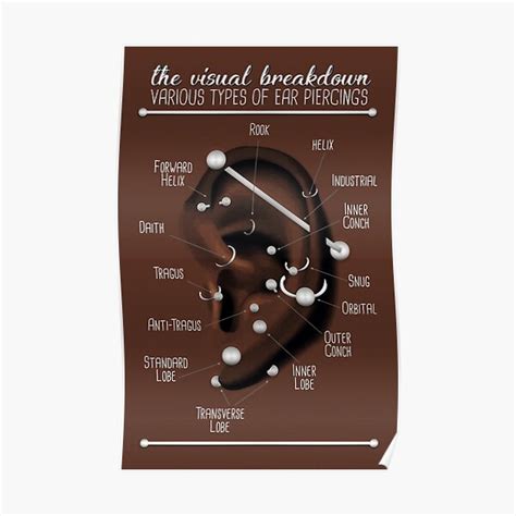 Ear Piercing Chart Dark Skin Poster For Sale By Jarrod44 Redbubble