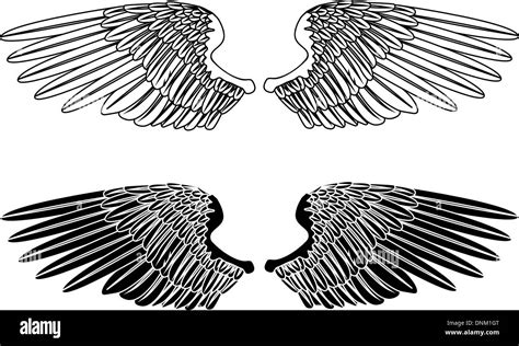 An Illustration Of Two Pairs Of Outstretched Wings Stock Vector Image