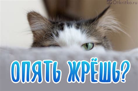 Картинки "Жрешь?"