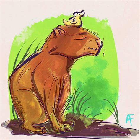 Capybara By Pencilforge On Deviantart
