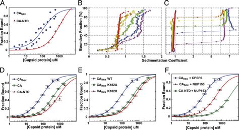 Analysis Of Cpsf And Nup Binding To Hiv Ca A Binding Isotherms