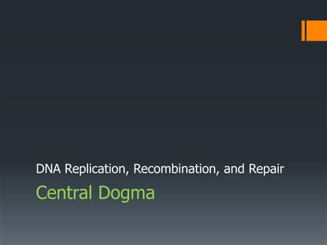 Ppt Central Dogma Powerpoint Presentation Free Download Id2087126