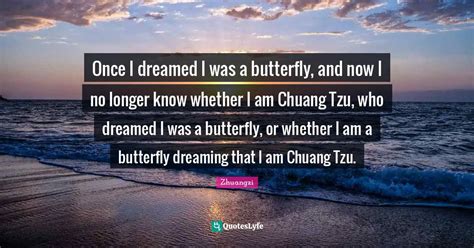 Once I Dreamed I Was A Butterfly And Now I No Longer Know Whether I A