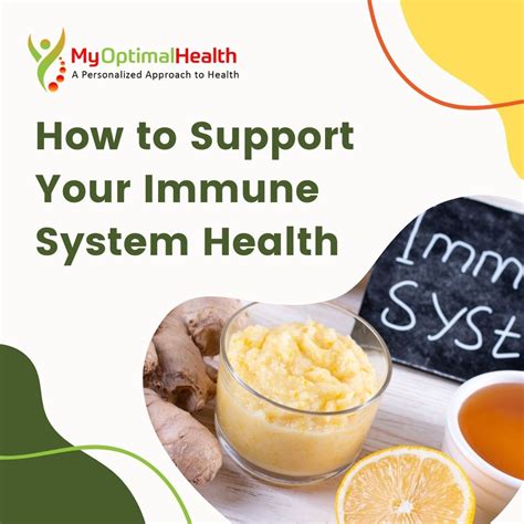 How To Support Your Immune System Health Myoptimalhealth