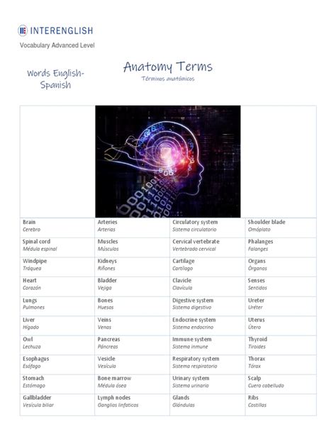 Anatomy Terms | PDF | Human Body | Zoology