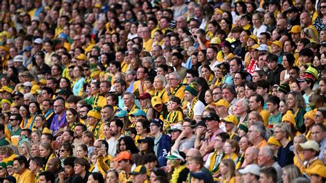 Gallery Brisbane Matildas Fans Dress Up The Advertiser