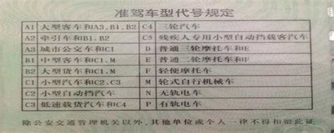 C牌驾照能开什么车车主指南