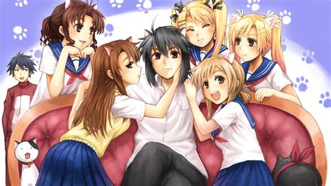 Anime Harem Girl