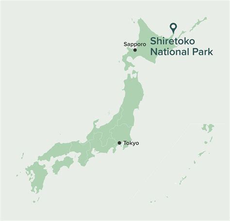 Sea Eagles and Hokkaido Winter Wildlife Tour | National Parks of Japan