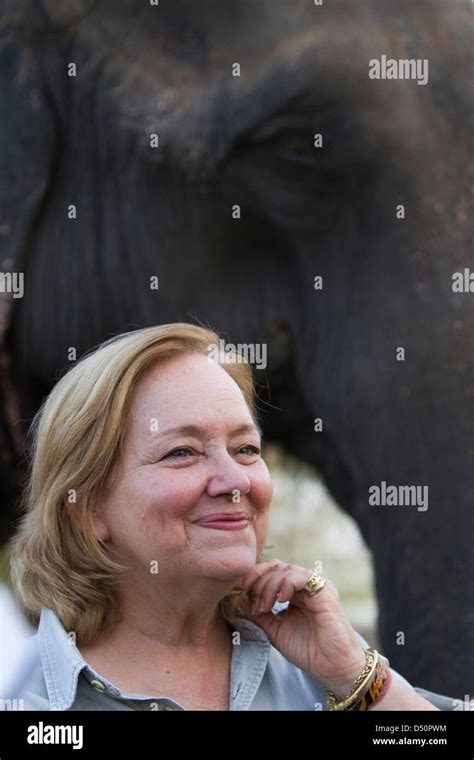 Belinda Wright Hi Res Stock Photography And Images Alamy