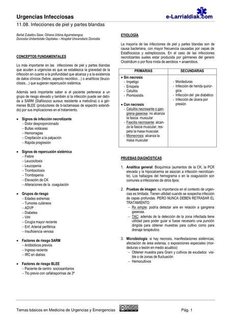 Infecciones De Piel Y Partes Blandas Diagnostico Manejo