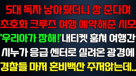 반전 신청사연 5대독자 낳아주니 초호화 크루즈여행 예약해준 시모내티켓뺏어 여행간 시누가 응급실 실려온 광경에 경찰들마저