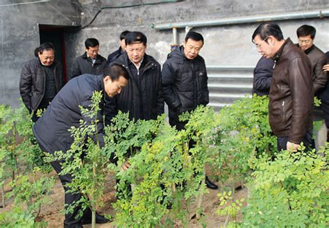 农业部农垦局局长王守聪一行到河北农垦海兴农场调研慰问