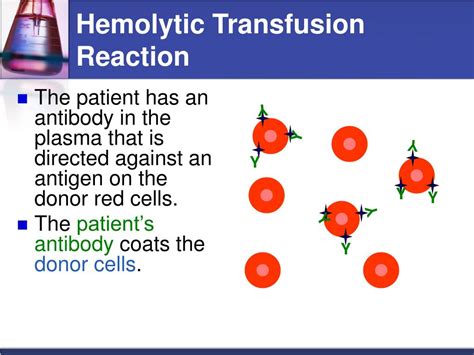 Ppt When Can You Use An Antibody To Find Another Antibody Powerpoint