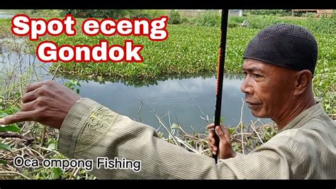 Mancing Ikan Betok Youtube