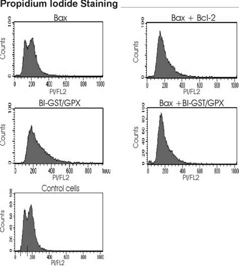 Cell Cycle Distribution Of Cells Expressing Bax Bcl 2 BI GST GPX