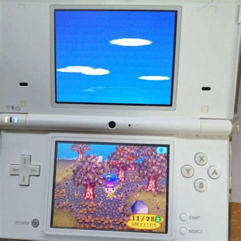 データあり おい よどうぶつの森 Ds Dsナナリストニンテンドーdsソフト｜売買されたオークション情報、yahooの商品情報をアーカイブ