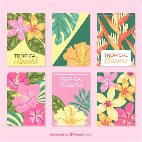 Exotic Flowers Free Vector Graphics Everypixel